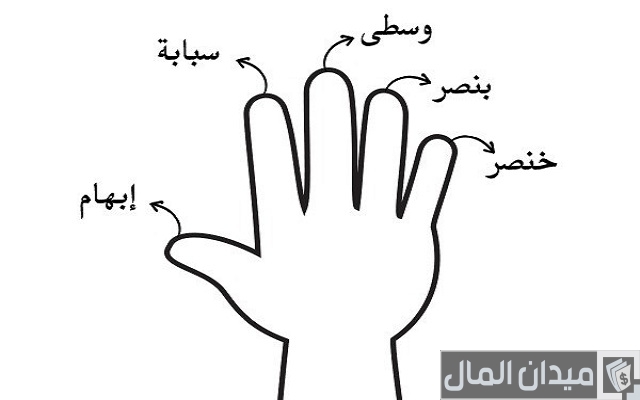 اسماء اصابع اليد - ميدان المال