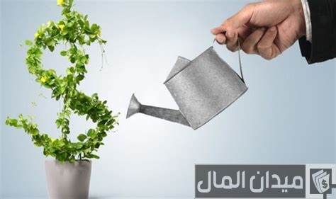اسماء جمعيات تمويل المشروعات الصغيرة في مصر اسماء جمعيات تمويل المشروعات الصغيرة في مصر
