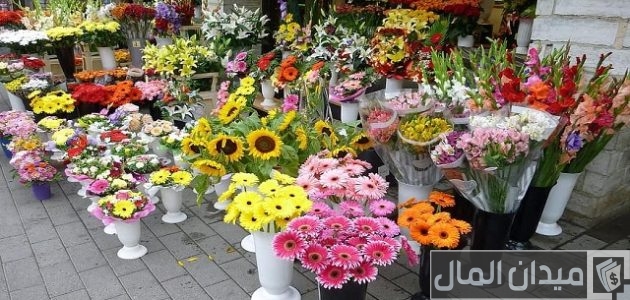 250 أسماء محلات ورد لمشروعك أسماء محلات ورد لمشروعك