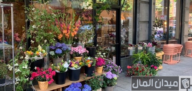 اقرب محل ورد من موقعي الحالي أقرب محل ورد طبيعي من موقعي