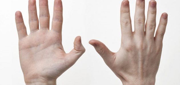 اسماء اصابع اليد اسماء اصابع اليد