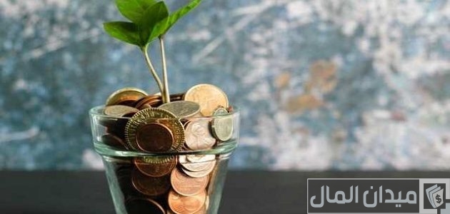 5 افكار ابداعية للتحويش افكار ابداعية للتحويش