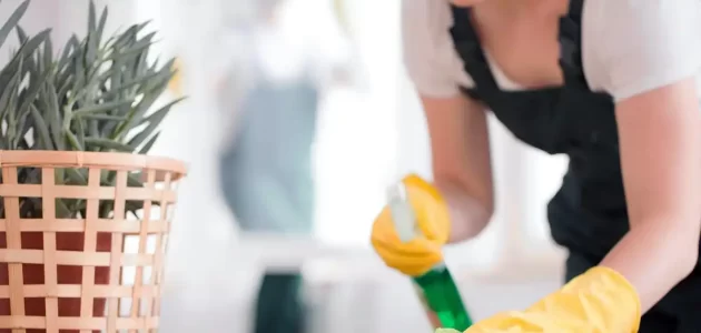 متوسط رواتب العمالة المنزلية في السعودية رواتب العمالة المنزلية في السعودية