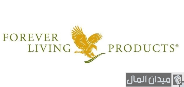 مين اشتغل في شركة فوريفر مين اشتغلت في شركة فوريفر