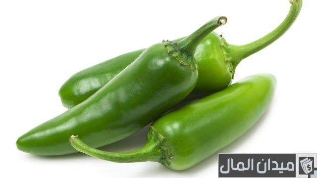 أنواع الفلفل الحار أنواع الفلفل الحار