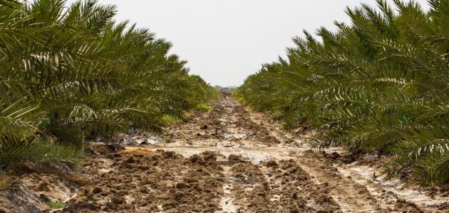 دراسة جدوى مشروع أسمدة ومبيدات دراسة جدوى مشروع أسمدة ومبيدات