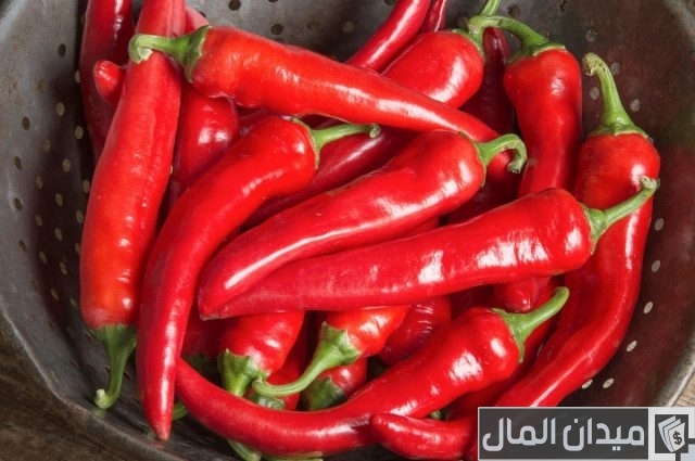 أنواع الفلفل الحار أنواع الفلفل الحار