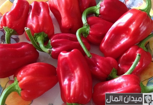 أنواع الفلفل الحار أنواع الفلفل الحار