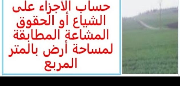 خطوات تقسيم أرض على الشياع كيفية تقسيم أرض على الشياع