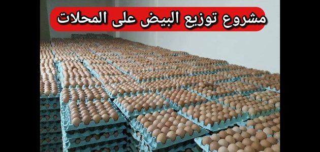 دراسة جدوى مشروع توزيع البيض على المحلات مشروع توزيع البيض على المحلات