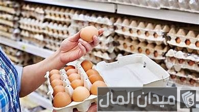 مشروع توزيع البيض على المحلات مشروع توزيع البيض على المحلات