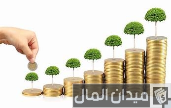 الفرق بين العائد على الاستثمار والعائد على رأس المال الفرق بين العائد على الاستثمار والعائد على رأس المال