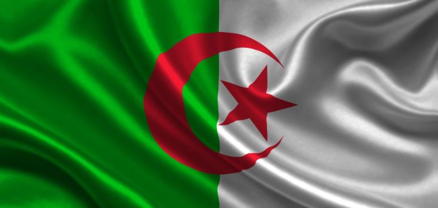 أحسن تجارة مربحة في الجزائر ومضمونة أحسن تجارة مربحة في الجزائر