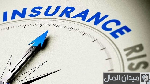 أشهر شركات التأمين في مصر أشهر شركات التأمين في مصر