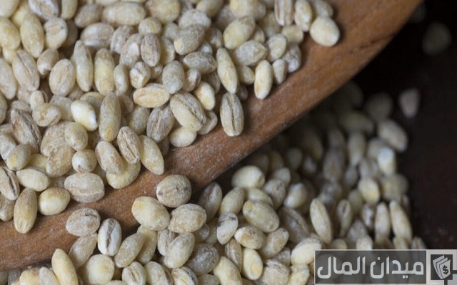 أفضل أنواع الشعير أفضل أنواع الشعير