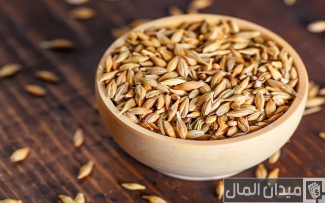 أفضل أنواع الشعير أفضل أنواع الشعير