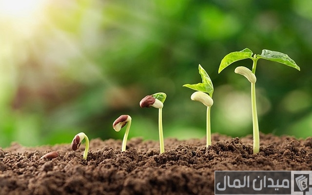 أنواع الزراعة أنواع الزراعة