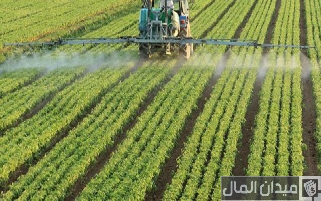 أنواع الزراعة أنواع الزراعة