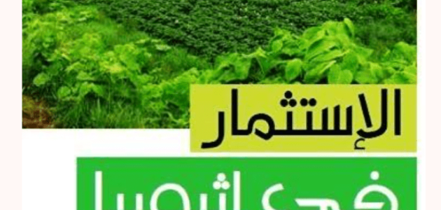 أنواع الاستثمار في أثيوبيا الاستثمار في أثيوبيا وأشكاله