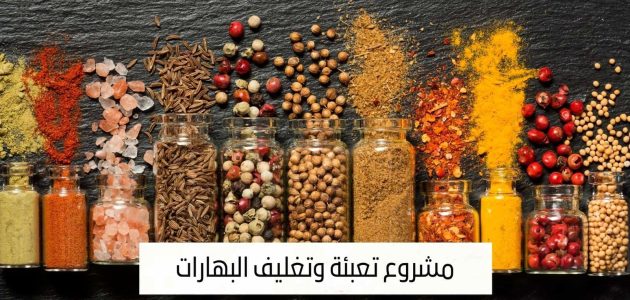 دراسة جدوى مشروع تعبئة وتغليف البهارات دراسة جدوى مشروع تعبئة وتغليف البهارات