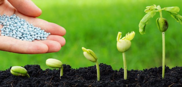 دليل أسماء وعناوين شركات الأسمدة والمبيدات الزراعية في مصر دليل شركات الأسمدة والمبيدات الزراعية في مصر