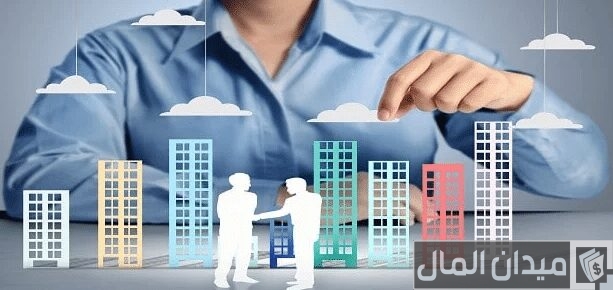 رسوم تأسيس الشركات في مصر وأنواع الشركات رسوم تأسيس الشركات في مصر