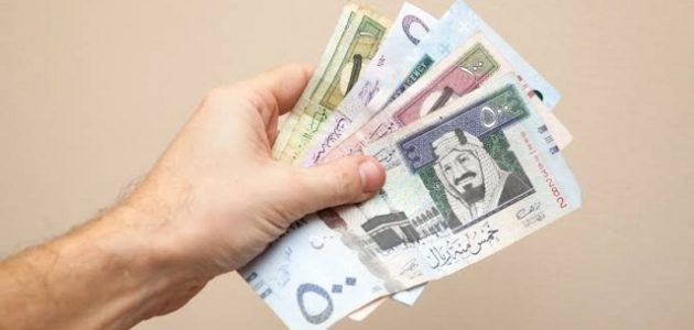 متوسط رواتب العمال المصريين في السعودية رواتب العمال المصريين في السعودية