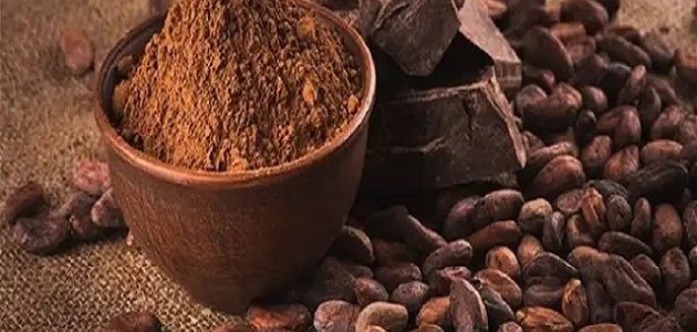 زراعة شجرة الكاكاو في مصر زراعة الكاكاو في مصر