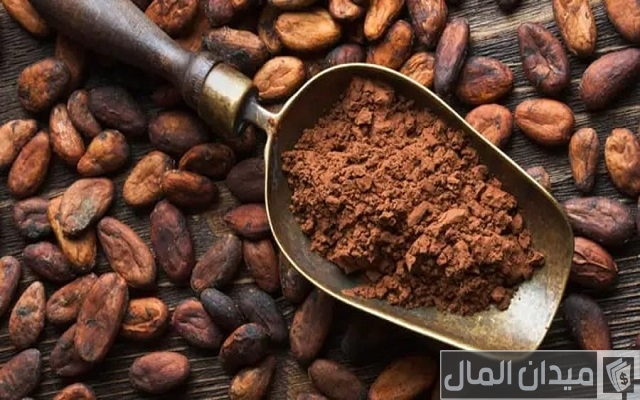 زراعة الكاكاو في مصر زراعة الكاكاو في مصر