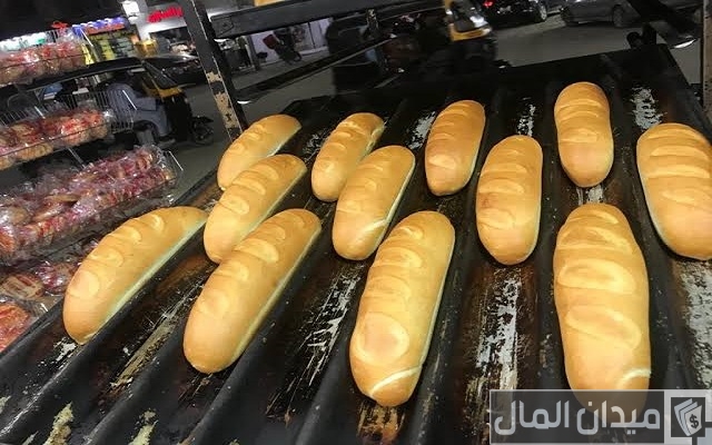 شروط ترخيص مخبز فينو في مصر شروط ترخيص مخبز فينو في مصر