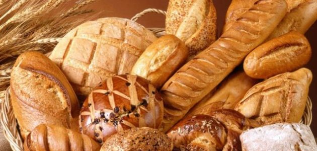 شروط ترخيص مخبز فينو سياحي وبلدي في مصر شروط ترخيص مخبز فينو في مصر