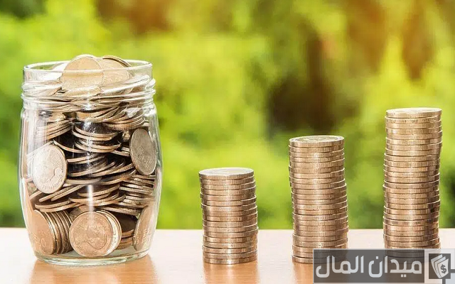 كيفية استثمار مبلغ بسيط في مصر كيفية استثمار مبلغ بسيط في مصر