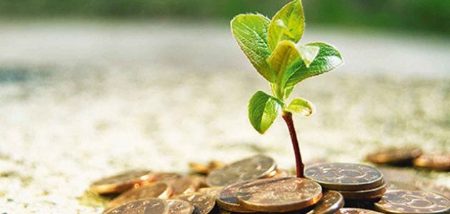 أنواع الاستثمار في البنوك الإسلامية ما هي أنواع الاستثمار في البنوك الإسلامية ؟