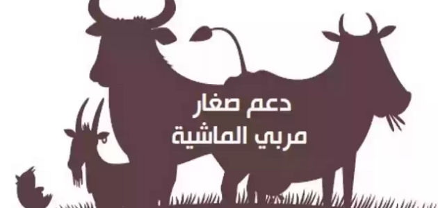 مبلغ إعانة مربي المواشي وخطوات الحصول على إعانة مبلغ إعانة مربي المواشي