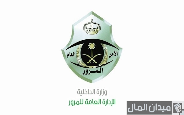 مميزات وعيوب فيزا سائق خاص مميزات وعيوب فيزا سائق خاص