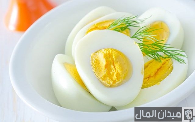 دراسة جدوى مشروع انتاج بيض المائدة - ميدان المال