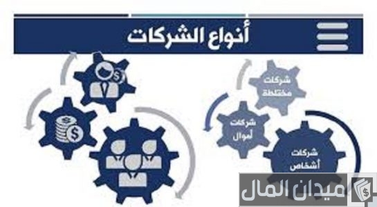 أنواع الشركات التجارية في مصر أنواع الشركات التجارية في مصر