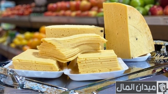 دراسة جدوى مشروع صناعة الجبن الرومي دراسة جدوى مشروع صناعة الجبن الرومي