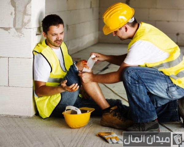 الصحة والسلامة المهنية في قانون العمل الصحة والسلامة المهنية في قانون العمل