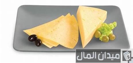 دراسة جدوى مشروع صناعة الجبن الرومي دراسة جدوى مشروع صناعة الجبن الرومي