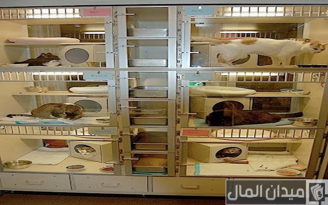أفكار مشاريع ناجحة في أمريكا عديدة ومختلفة أفكار مشاريع ناجحة في أمريكا عديدة ومختلفة