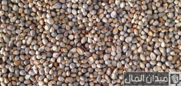 مكونات علف الاسماك مكونات علف الاسماك
