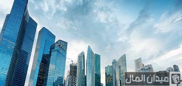 أنواع الشركات التجارية في مصر أنواع الشركات التجارية في مصر