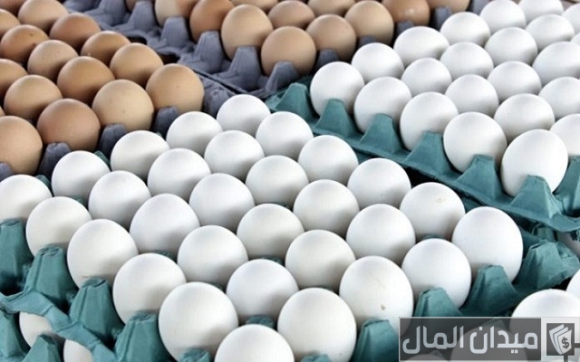 دراسة جدوى مشروع انتاج بيض المائدة دراسة جدوى مشروع انتاج بيض المائدة