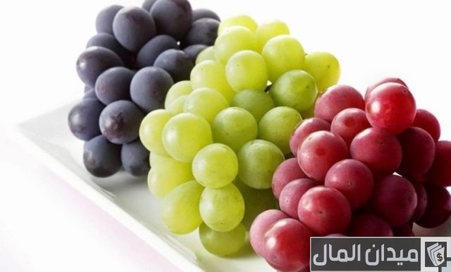 زراعة العنب في الأراضي الصحراوية زراعة العنب في الأراضي الصحراوية