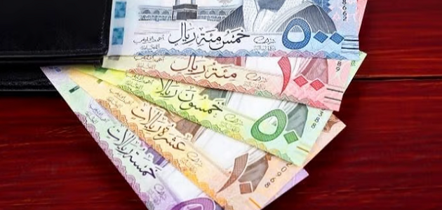 أسماء شركات استثمار الأموال في السعودية شركات استثمار الأموال في السعودية