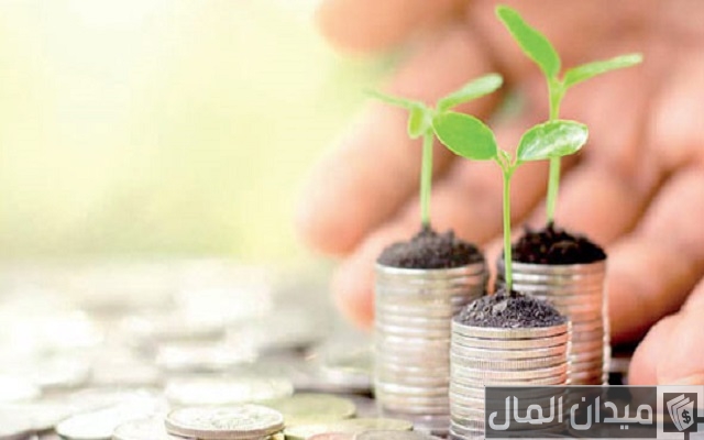 عايز مشروع أكل منه عيش عايز مشروع أكل منه عيش