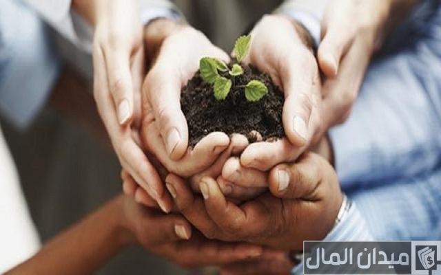 كيفية عمل مشروع صغير ناجح كيفية عمل مشروع صغير ناجح