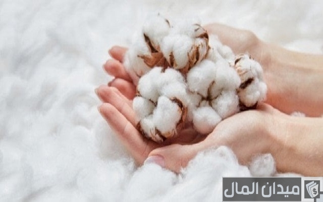 ما هي أكبر الدول المنتجة للقطن في العالم؟ ما هي أكبر الدول المنتجة للقطن في العالم؟