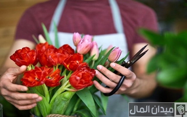 مشاريع بسيطة لزيادة الدخل مشاريع بسيطة لزيادة الدخل